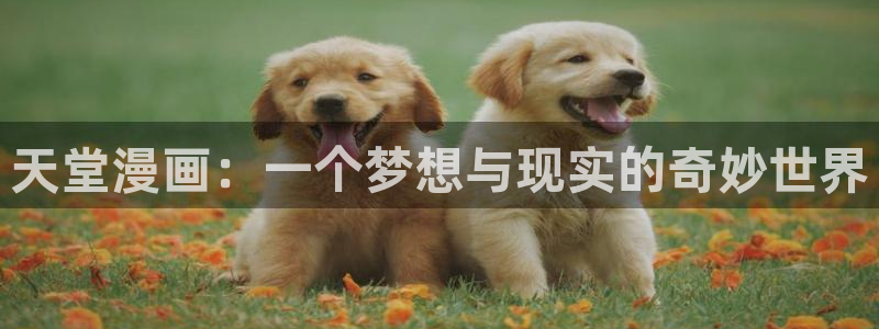 左右漫画歪歪漫画：天堂漫画：一个梦想与现实的奇妙世界