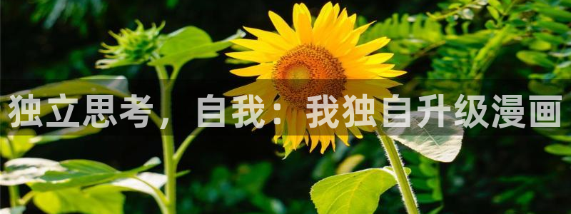 刃牙 漫画：独立思考，自我：我独自升级漫画