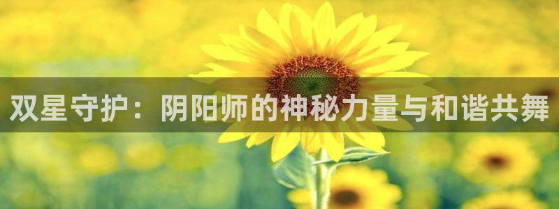 yy漫画渗透测试：双星守护：阴阳师的神秘力量与和谐共舞